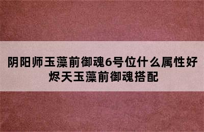 阴阳师玉藻前御魂6号位什么属性好 烬天玉藻前御魂搭配